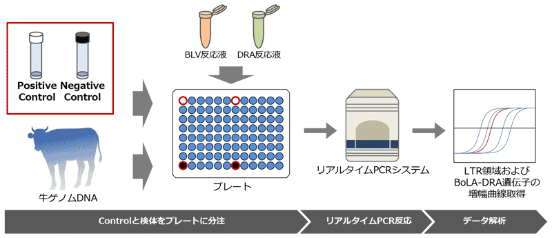 活用例