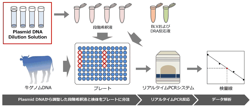 活用例