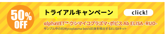 半額キャンペーン実施中