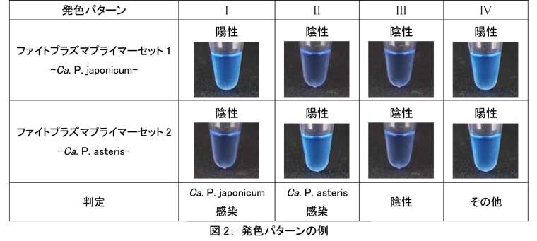 発色パターンの例