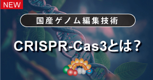 CRISPR-Cas3システムについて