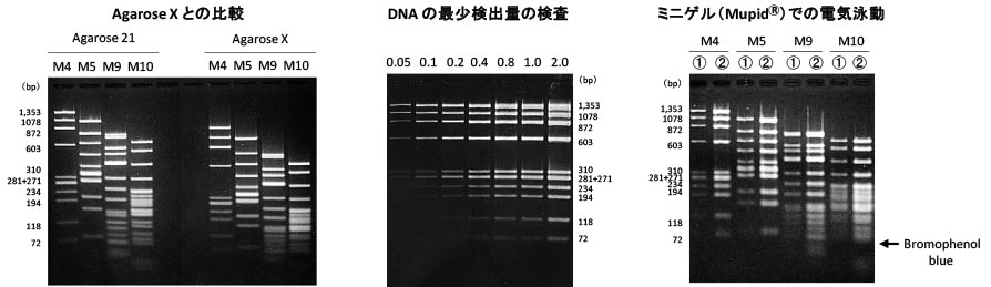 agarose21_data1