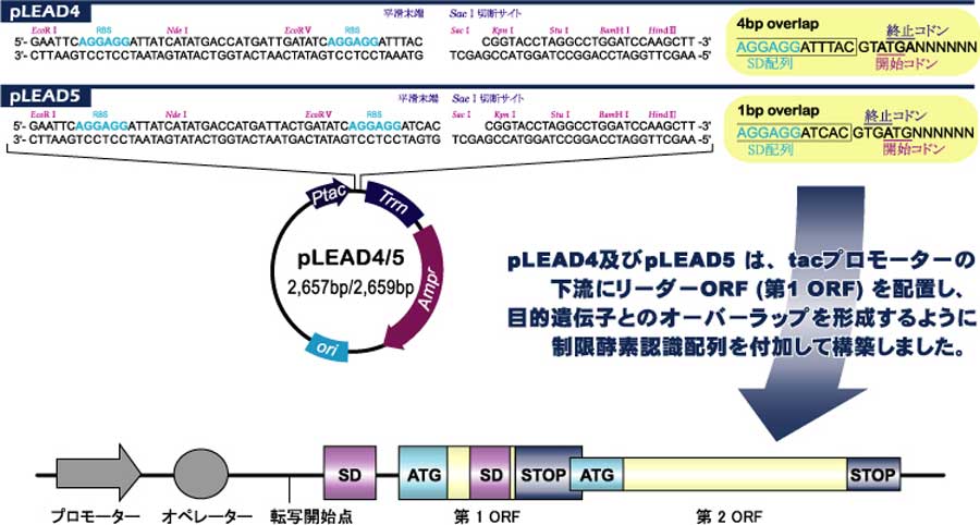 map_plead-dna