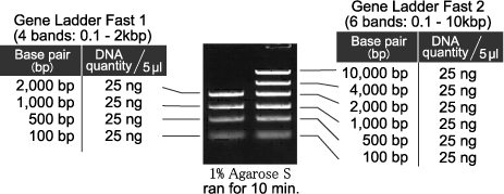 gene-ladder-wide