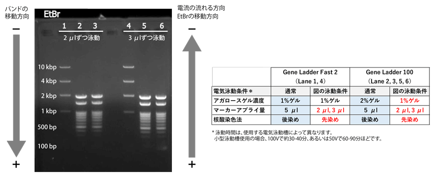 先染めの場合