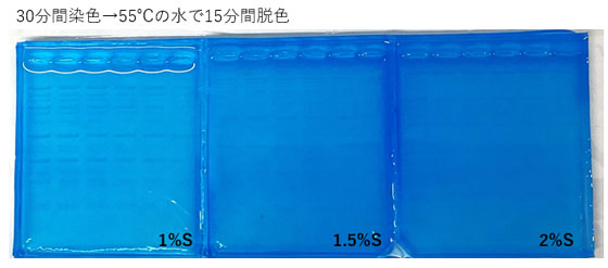 30分染色、15分脱色