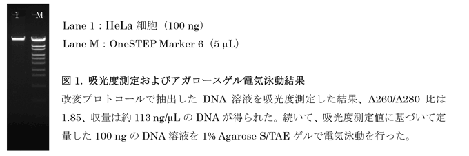 泳動写真