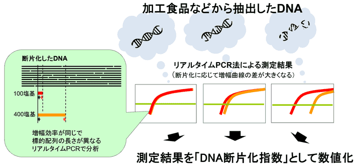 数値化